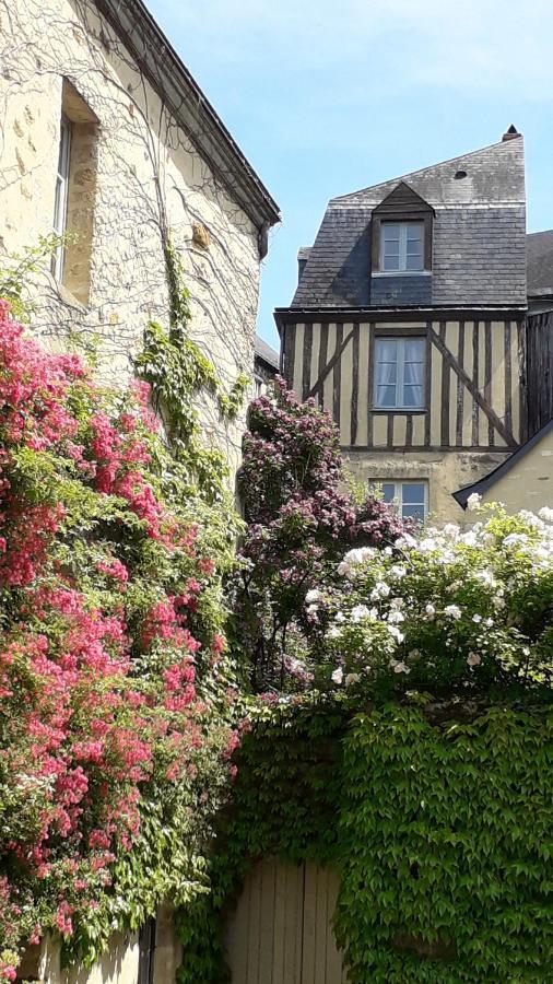Petite Maison Romantique Au Calme, Coeur Historique Plantagenet, Vue Ville Le Mans Kültér fotó