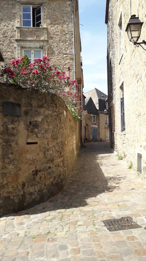Petite Maison Romantique Au Calme, Coeur Historique Plantagenet, Vue Ville Le Mans Kültér fotó